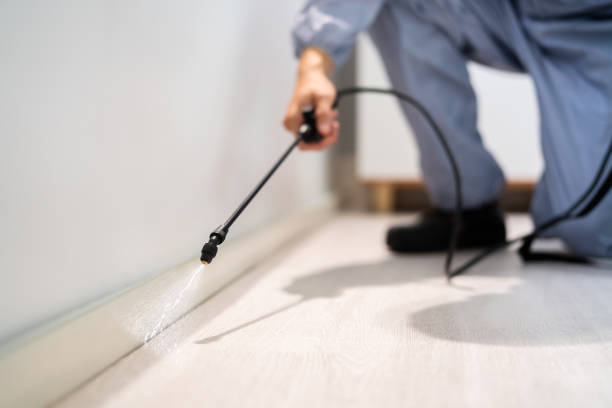 Professional exterminator conducting IPM assessment in Fort Knox