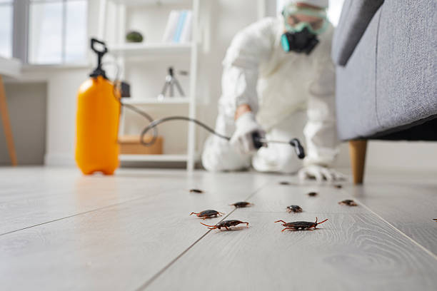 Commercial Kitchen Cockroach Control in Fort Knox