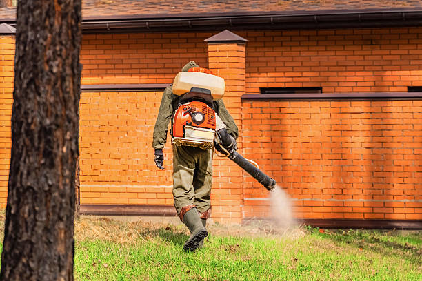 Cockroach Follow-Up and Monitoring in Fort Knox
